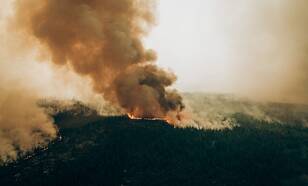 Foto van een bosbrand