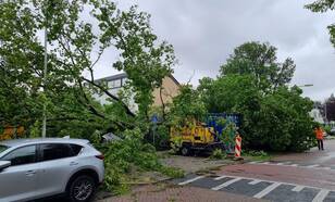 Foto gemaak tijdens storm Poly. Een boom is omgevallen op een auto.