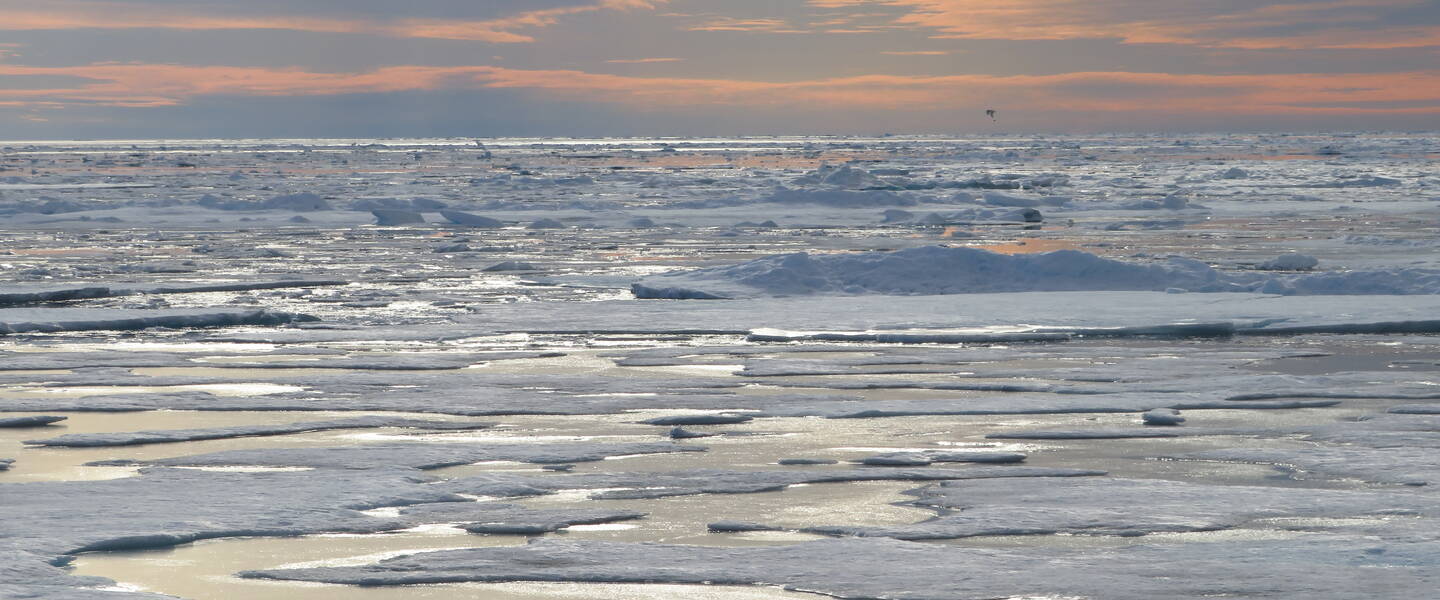 Zee-ijs op de Noordpool