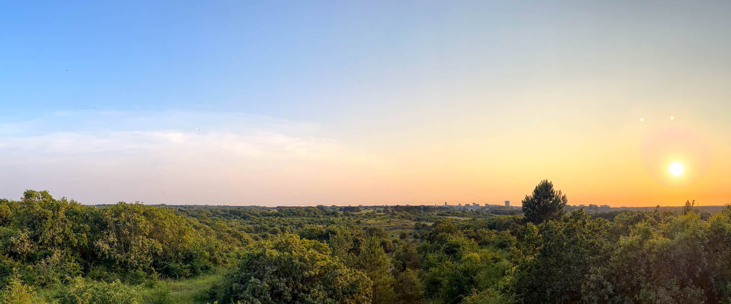 Zonsondergang in de Kennemerduinen donderdag 18 juli 2024