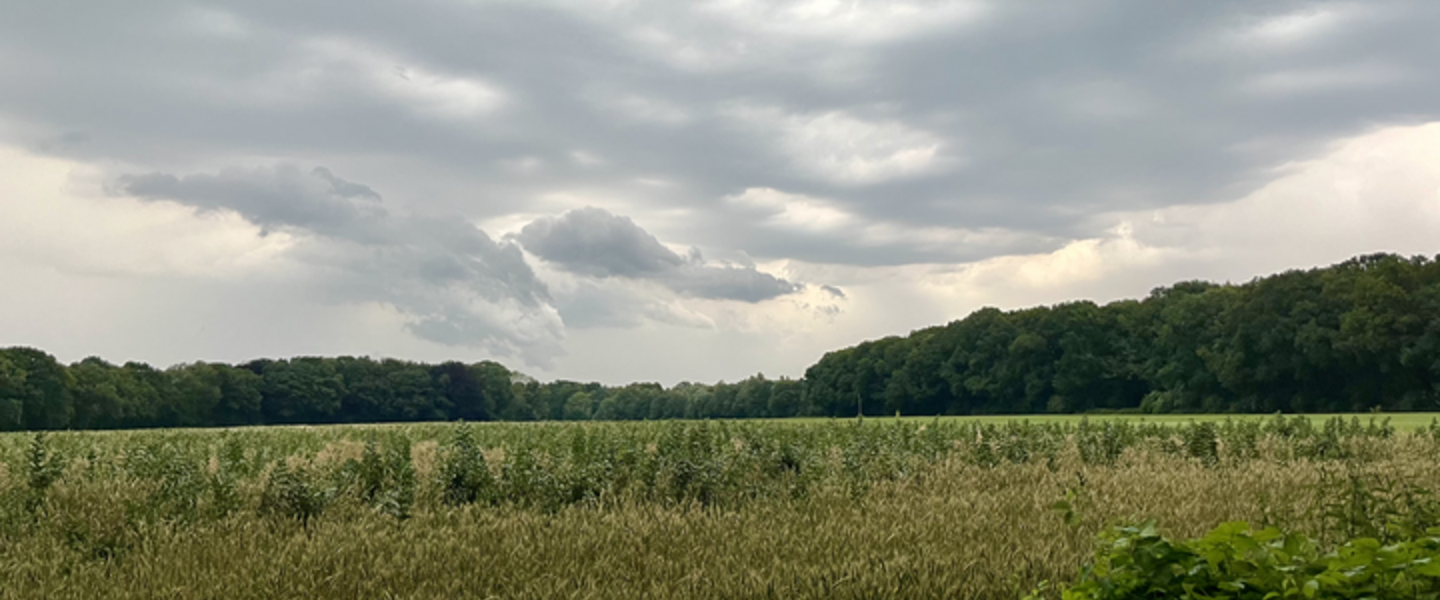 Luchttheater boven kasteel oud-Zuilen 19:42, 8 juli