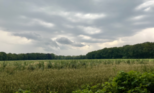 Luchttheater boven kasteel oud-Zuilen 19:42, 8 juli