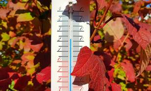 Thermometer in een haag met herfstkleuren