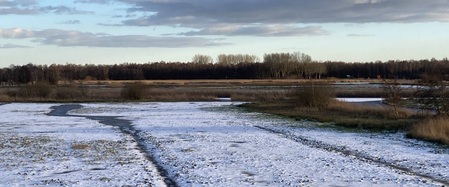 Besneeuwd landschap Oostzaan