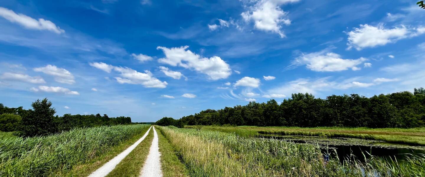 Foto van een zomerse dag met wat wolken