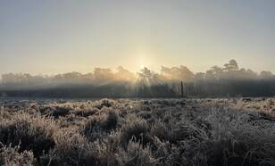 Winterse foto met zonsopgang en vrieskou 