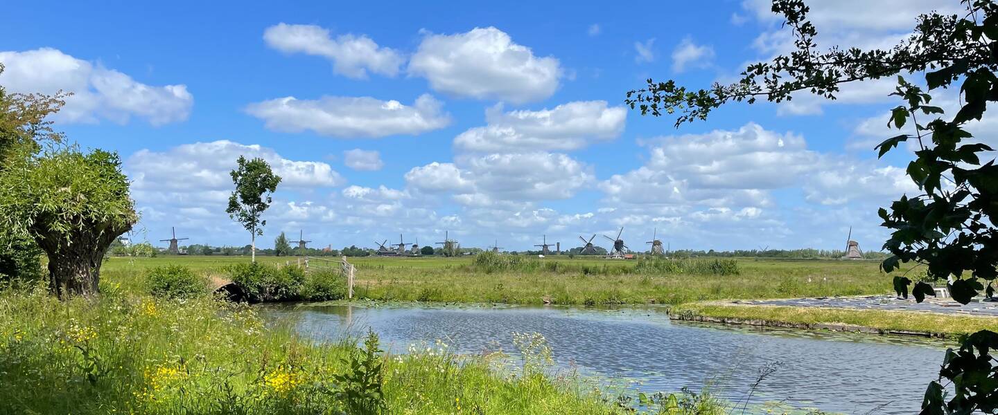 Foto van landschap met sloot en molens op de achtergrond, tegen een blauwe lucht met een paar vriendelijke stapelwolken