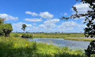 Foto van landschap met sloot en molens op de achtergrond, tegen een blauwe lucht met een paar vriendelijke stapelwolken