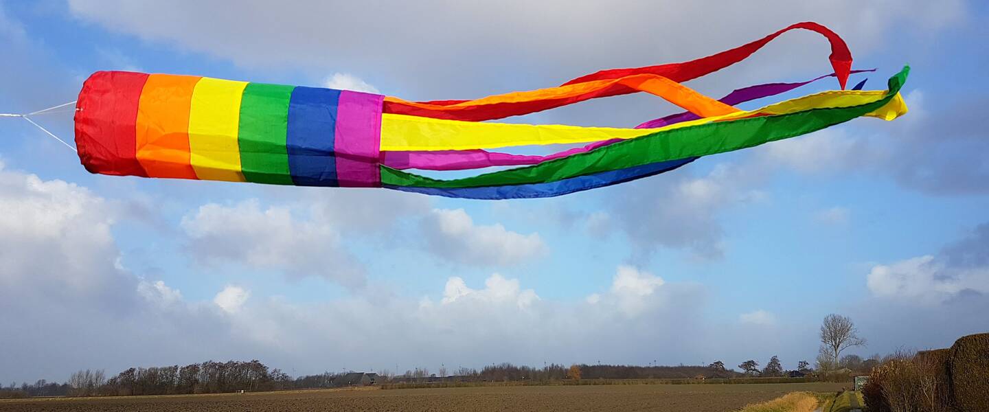 foto van een regenboog windvaan