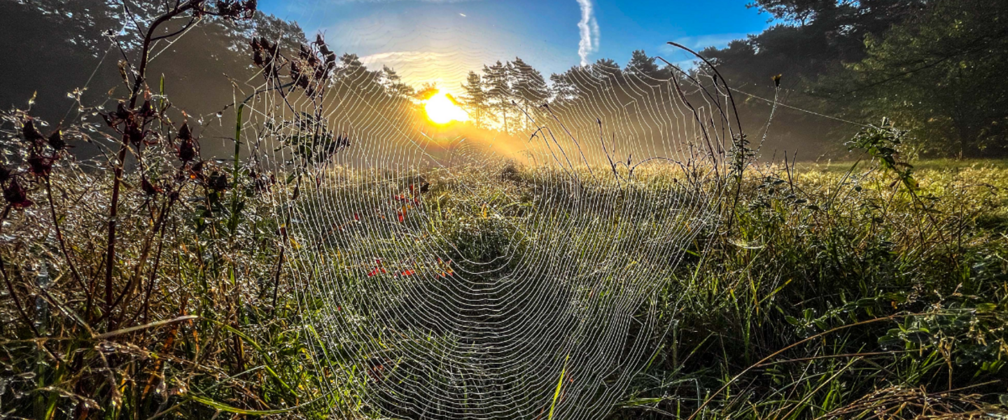 foto van oktober 2025
