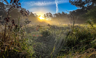 foto van oktober 2025