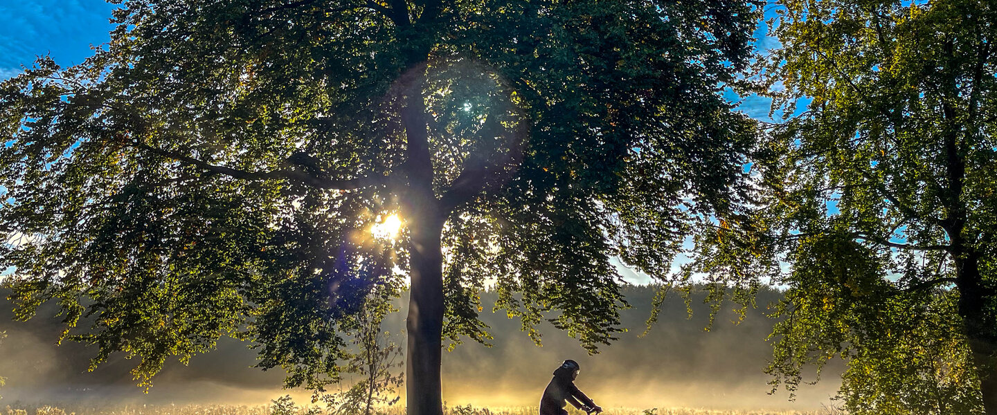 fietser in de zon in oktober 2025