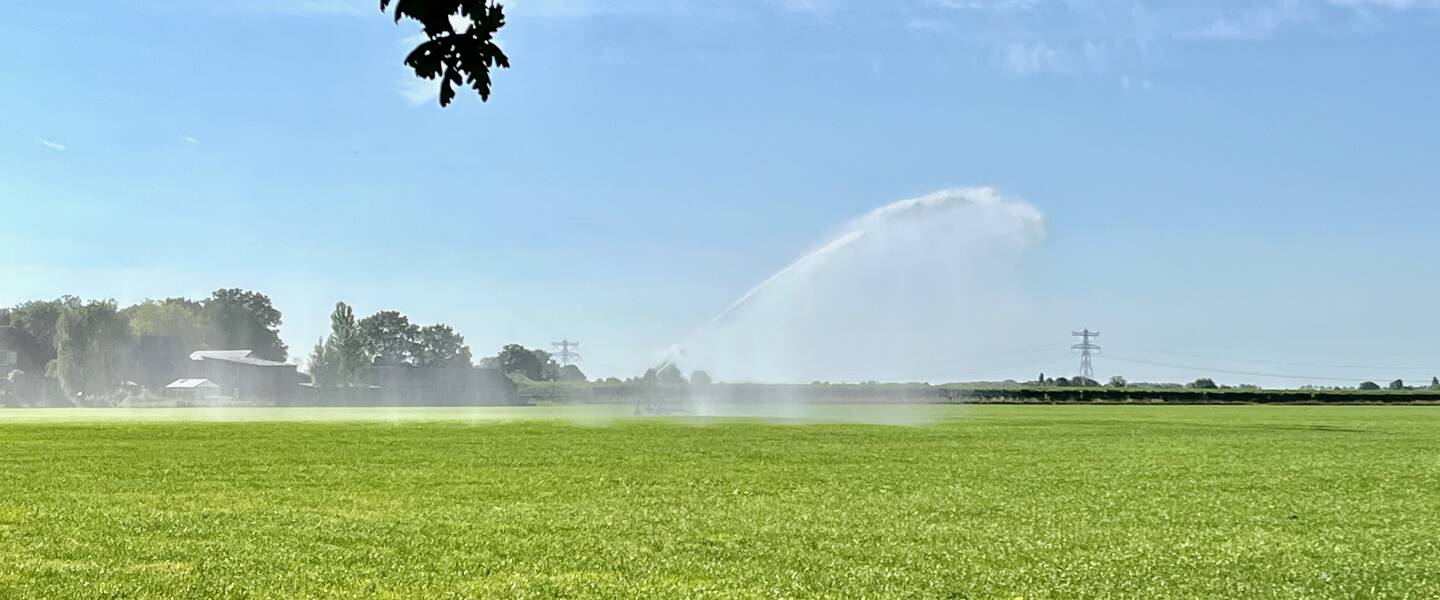 Waterkanon sproeit weiland