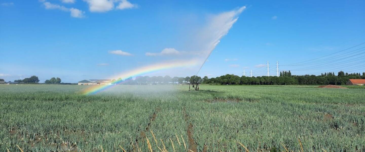 foto van sproeiers in de landbouw op een zonnige dag in zeeland in 2025
