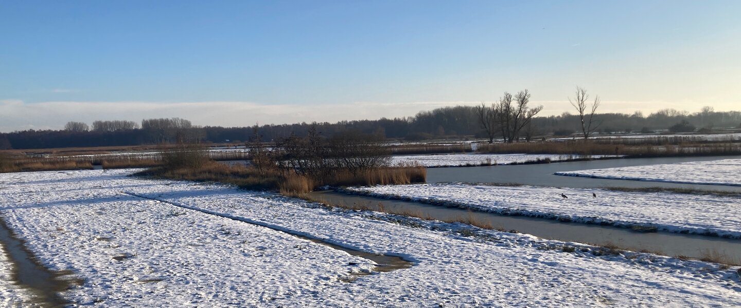 Foto van besneeuwde natuur in Oostzaan