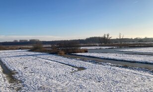 Foto van besneeuwde natuur in Oostzaan