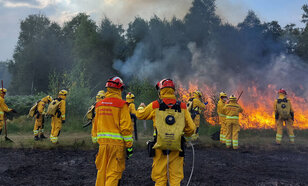 brandweer bij een natuurbrand in nederland