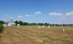 Foto van erg droog meetveld in De Bilt