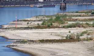 Laag water in de Rijn
