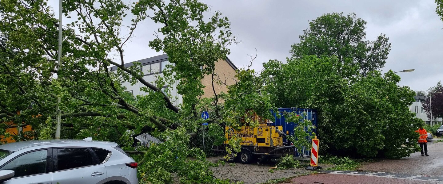 Bomen zijn omgevallen door zomerstorm Poly in juli 2023